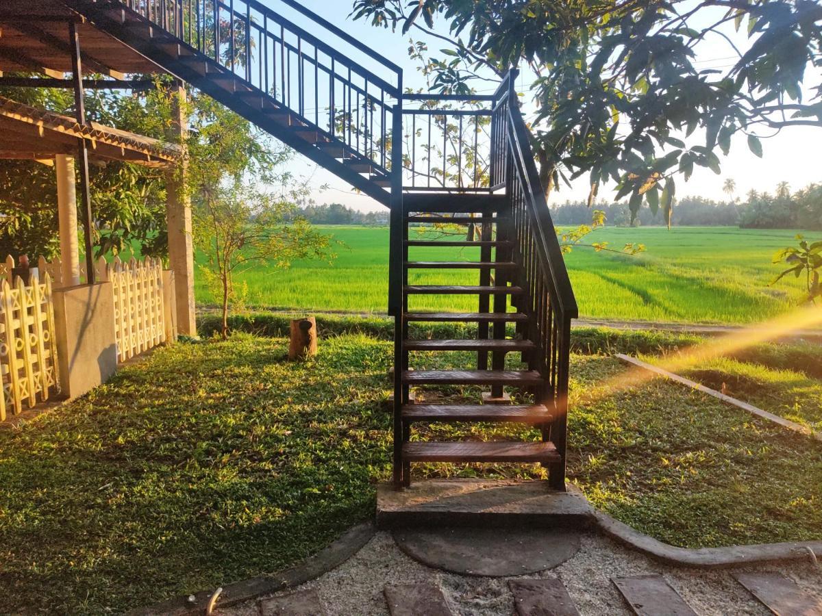 Village Mango Resort Yala ティッサマハーラーマ エクステリア 写真
