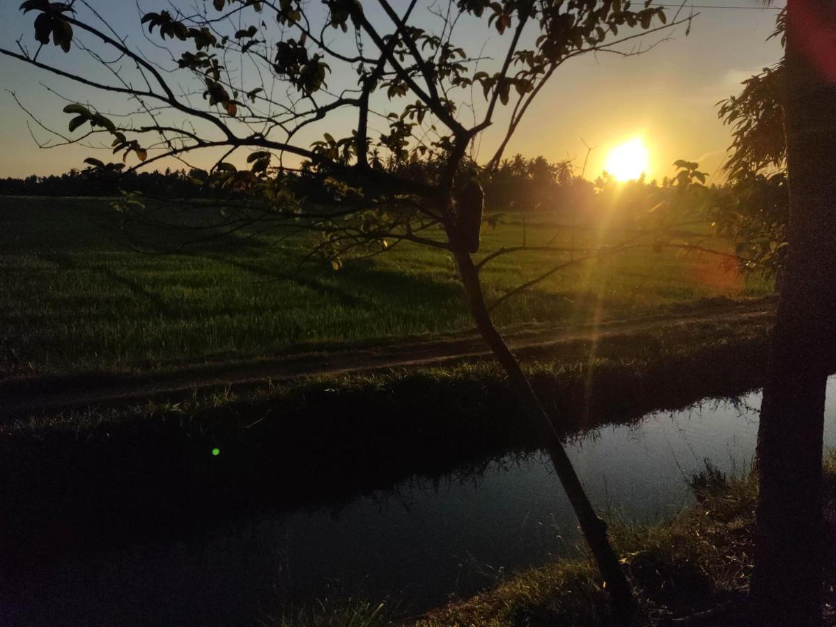 Village Mango Resort Yala ティッサマハーラーマ エクステリア 写真