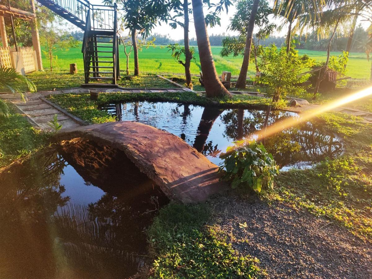 Village Mango Resort Yala ティッサマハーラーマ エクステリア 写真