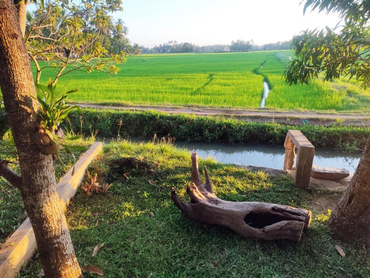 Village Mango Resort Yala ティッサマハーラーマ エクステリア 写真