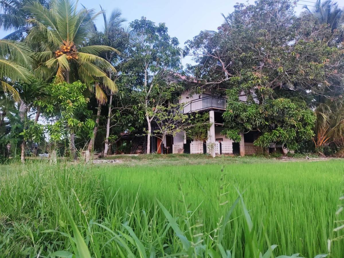 Village Mango Resort Yala ティッサマハーラーマ エクステリア 写真
