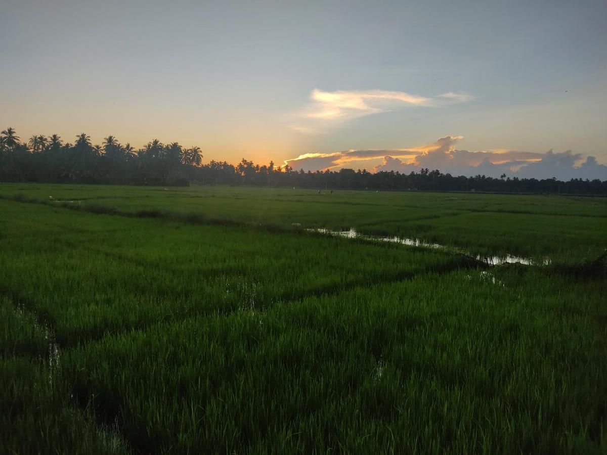 Village Mango Resort Yala ティッサマハーラーマ エクステリア 写真