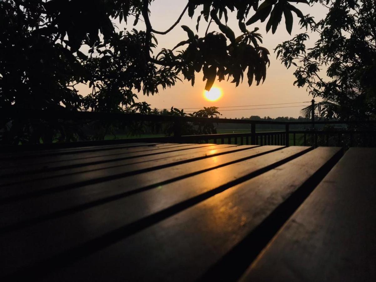 Village Mango Resort Yala ティッサマハーラーマ エクステリア 写真