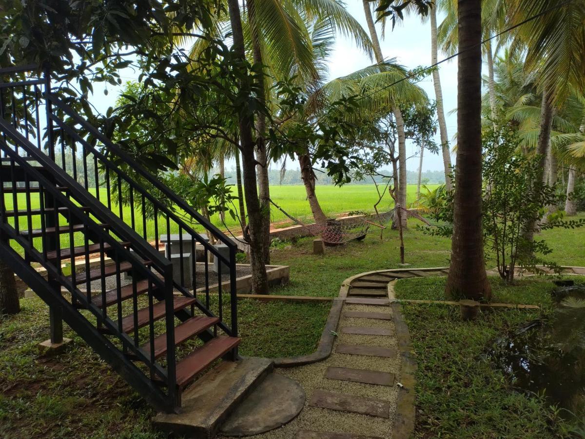 Village Mango Resort Yala ティッサマハーラーマ エクステリア 写真