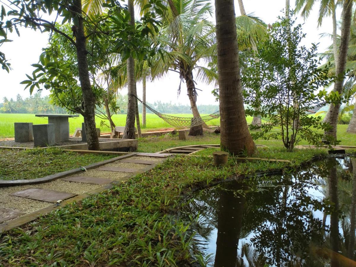 Village Mango Resort Yala ティッサマハーラーマ エクステリア 写真