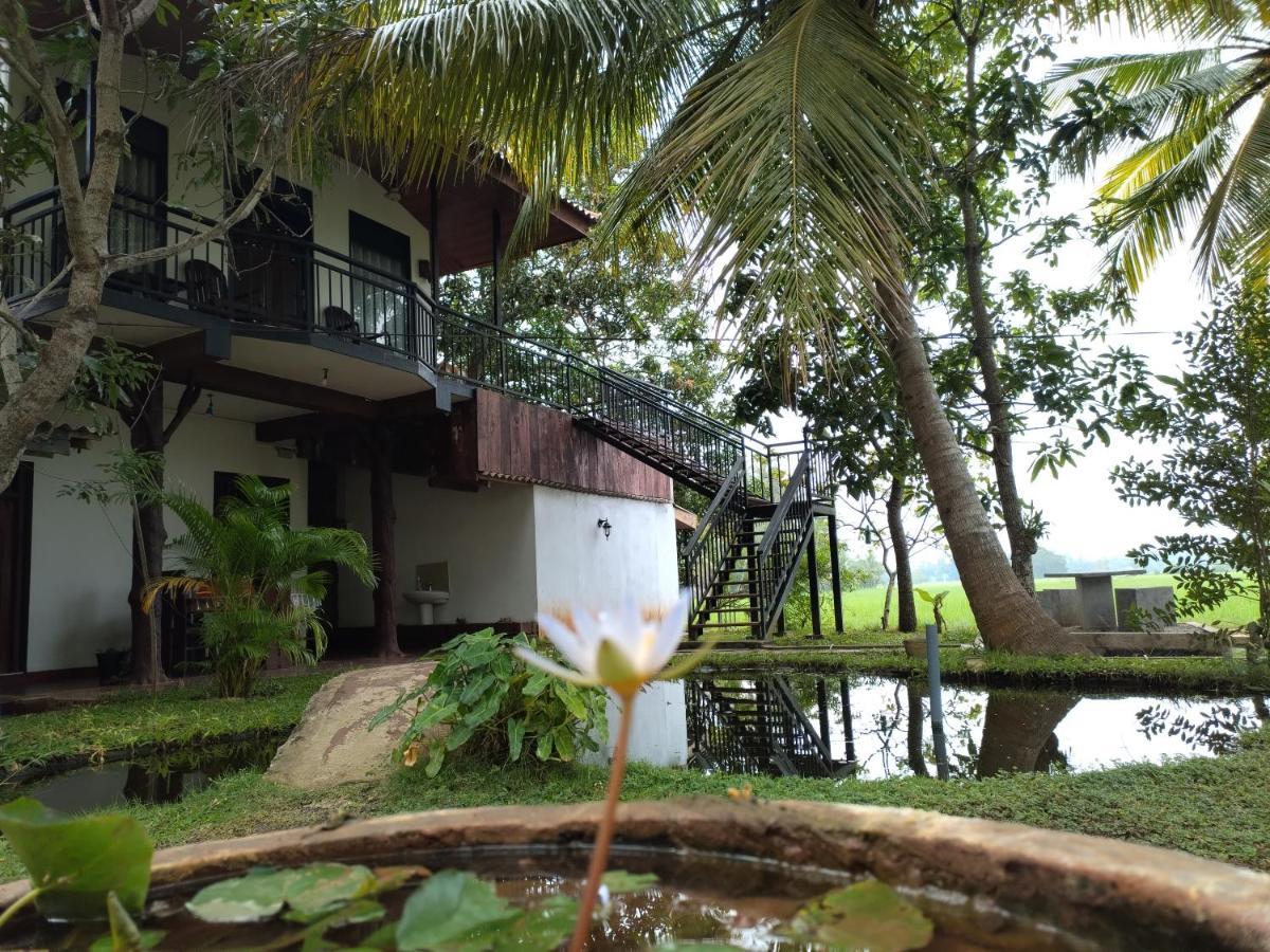 Village Mango Resort Yala ティッサマハーラーマ エクステリア 写真
