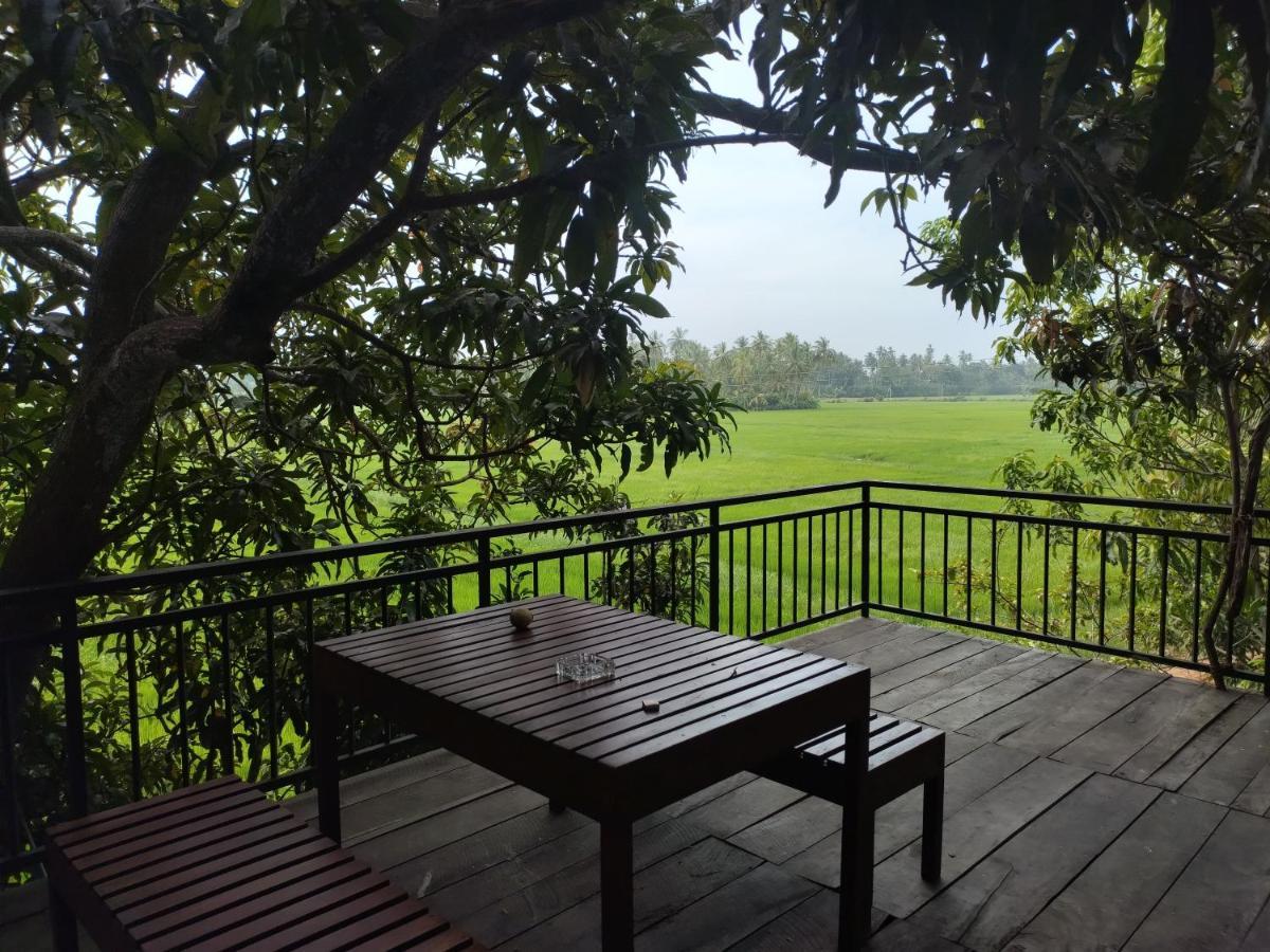 Village Mango Resort Yala ティッサマハーラーマ エクステリア 写真