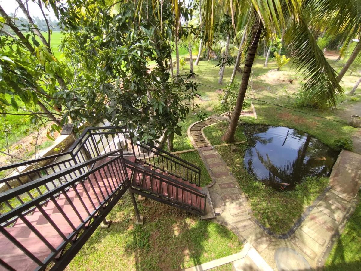Village Mango Resort Yala ティッサマハーラーマ エクステリア 写真