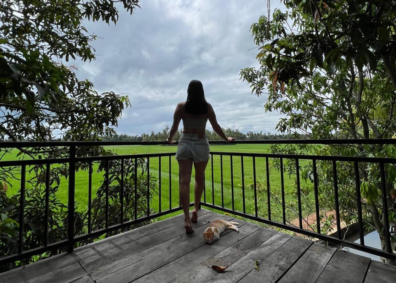 Village Mango Resort Yala ティッサマハーラーマ エクステリア 写真